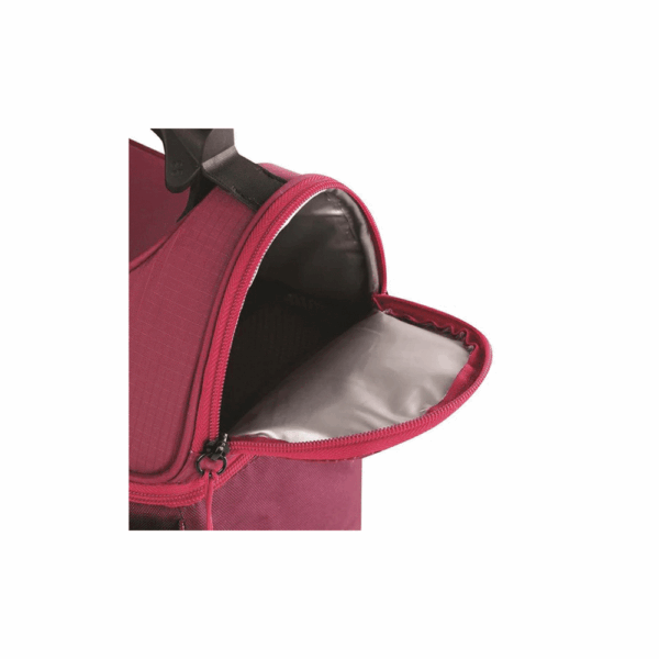 Bolsa termica igloo 9 latas essentials bordo 66390 - Imagen 3