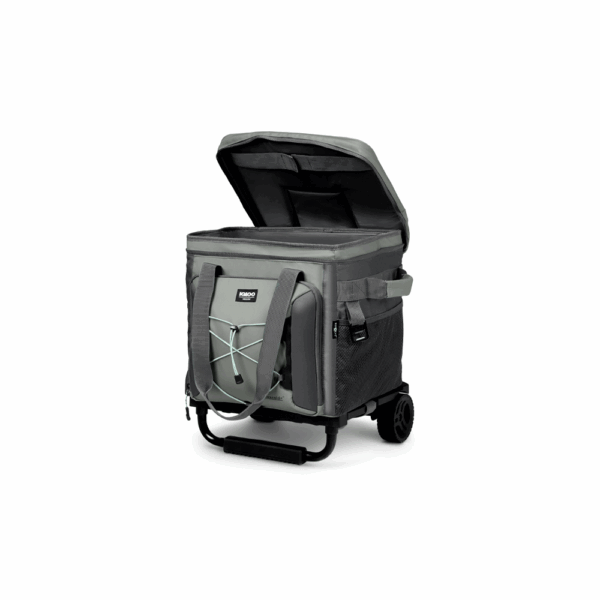 Bolsa termica igloo 40 latas collapsible gris 66324 - Imagen 2
