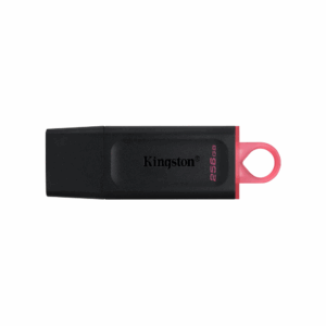 Pendrive kingston datatraveler exodia 256gb usb 3.2 dtx/256gb
